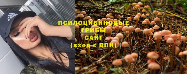 МДМА Яровое