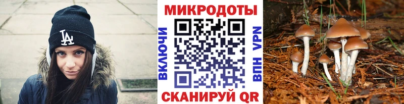 Псилоцибиновые грибы Magic Shrooms  Купить где  Опочка 
